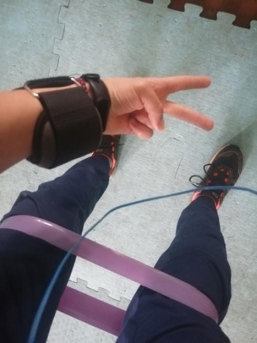 Сообщение из дома: собачкам явно прекрасно. 01