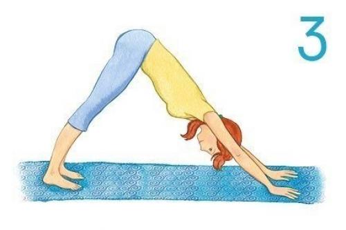 Goodlady_упражнения. Комплекс для Особо Занятых. 02 Goodlady_упражнения. Комплекс для Особо Занятых. 02