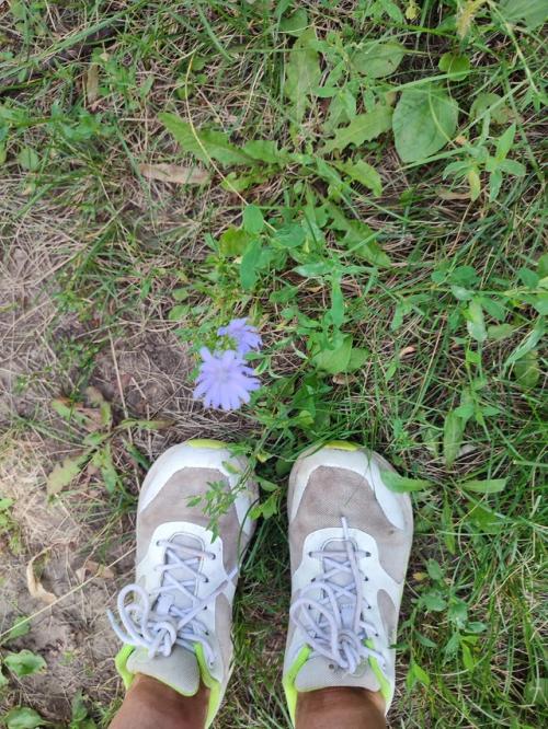 Раз фитнес отменили, то мы с Машей себе тренировку не отменяли и пошли в лес бегать. 02