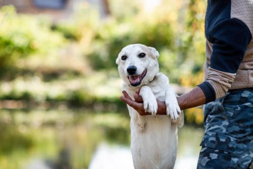 Ищет дом нева. 02