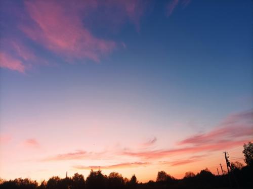 Один вечер из жизни фермера. 06 Один вечер из жизни фермера. 06