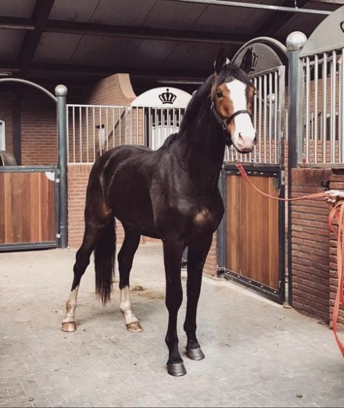 Дарк - академики х спорт, или мои попытки совмещения смутно совместимого: 03 Дарк - академики х спорт, или мои попытки совмещения смутно совместимого: 03