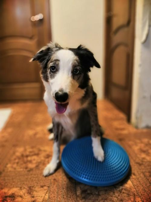 День фитнеса по плану. 04