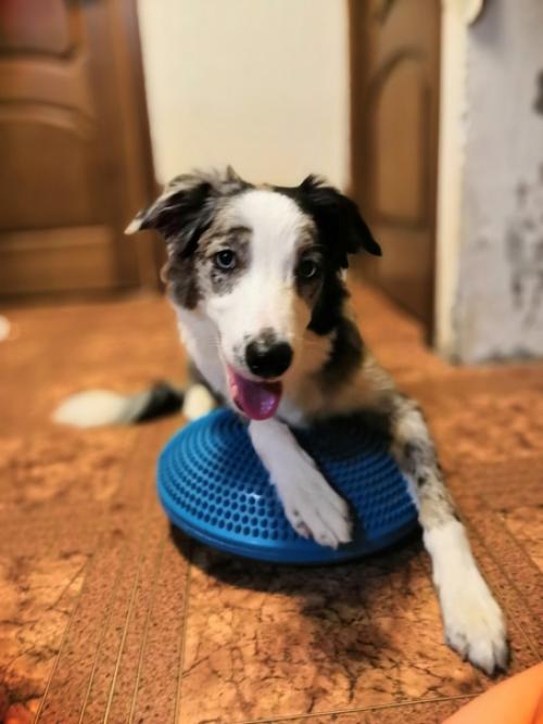 День фитнеса по плану. 03