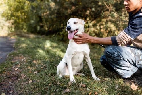 Ищет дом нева. 04