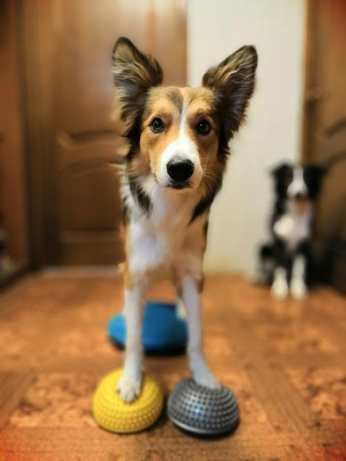 День фитнеса по плану. 02