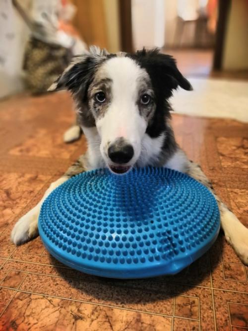 День фитнеса по плану. 06