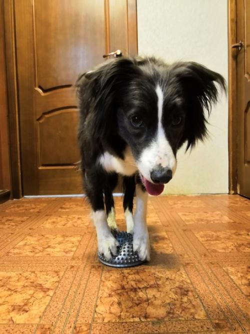 День фитнеса по плану. 01