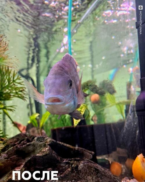 Эпизод 450.  Операция на ГЛУБИНЕ. 02