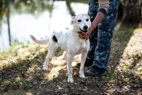 Ищет дом нева. 01