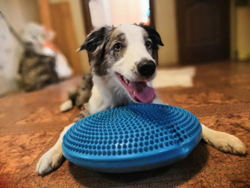 День фитнеса по плану. 05