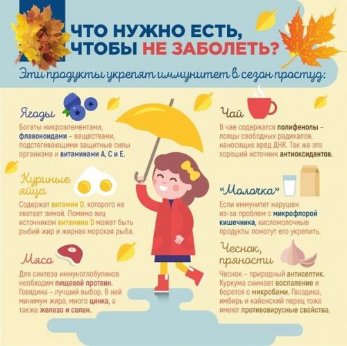 Территория Здоровья.  Лето закончилось, а значит, в нашу жизнь вместе с холодным ветром и дождём возвращаются простуды. 02 Территория Здоровья.  Лето закончилось, а значит, в нашу жизнь вместе с холодным ветром и дождём возвращаются простуды. 02