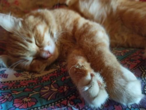 Я не знаю как вы, а я прямо ощущаю смену времени года. 04