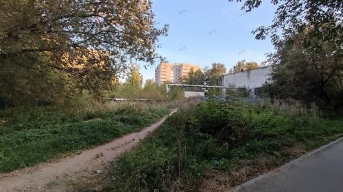 Павлово.  Территория за фитнес-клубом Созвездие: новый тротуар к магазину пятёрочка тонет в зарослях американского клёна и крапивы. 03