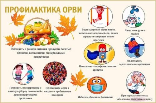 Территория Здоровья.  Лето закончилось, а значит, в нашу жизнь вместе с холодным ветром и дождём возвращаются простуды. 01 Территория Здоровья.  Лето закончилось, а значит, в нашу жизнь вместе с холодным ветром и дождём возвращаются простуды. 01