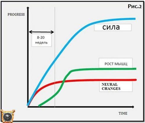 Как часто стоит менять программу тренировок? 01 Как часто стоит менять программу тренировок? 01