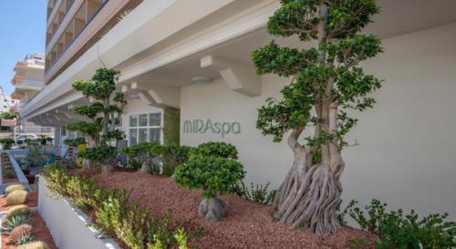 Отель дня: Kipriotis Rhodes 2* (Греция, Родос о., Родос - центр). 01