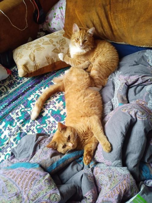 Я не знаю как вы, а я прямо ощущаю смену времени года. 05