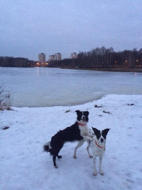 На улице везде один большой каток? 07