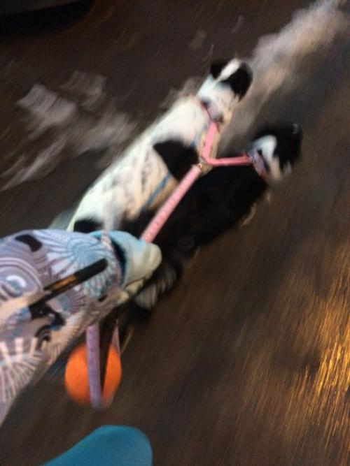 На улице везде один большой каток? 06