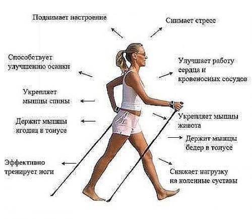Скандинавская ходьба. Скандинавская ходьба - это не развлечение, а вполне серьезный вид фитнеса для укрепления здоровья и для похудения. 01 Скандинавская ходьба. Скандинавская ходьба - это не развлечение, а вполне серьезный вид фитнеса для укрепления здоровья и для похудения. 01