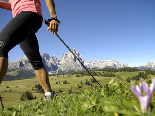 Насколько полезна скандинавская ходьба. 02 Насколько полезна скандинавская ходьба. 02