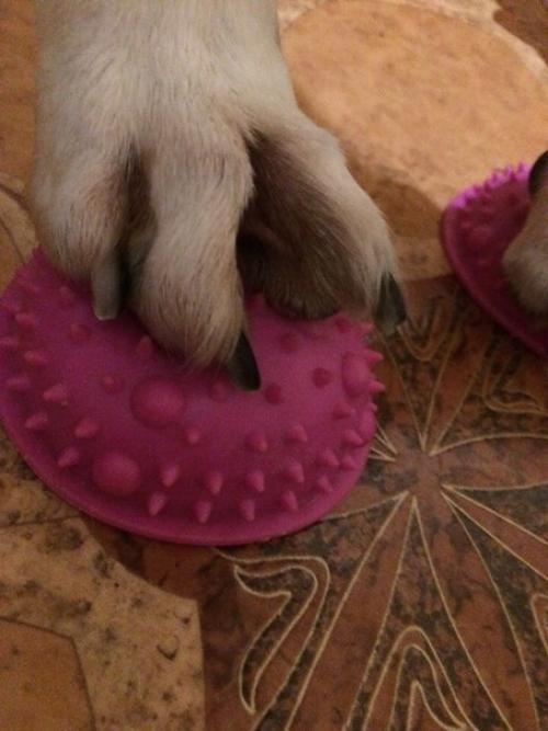 На улице везде один большой каток? 01