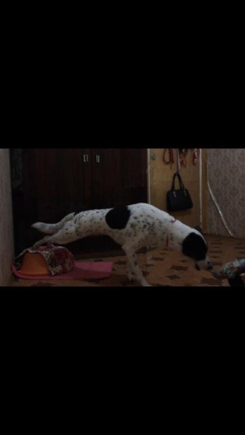 На улице везде один большой каток? 05