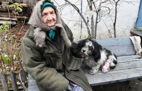 160 тысяч рублей на операцию собаке собрали неравнодушные воронежцы. 06