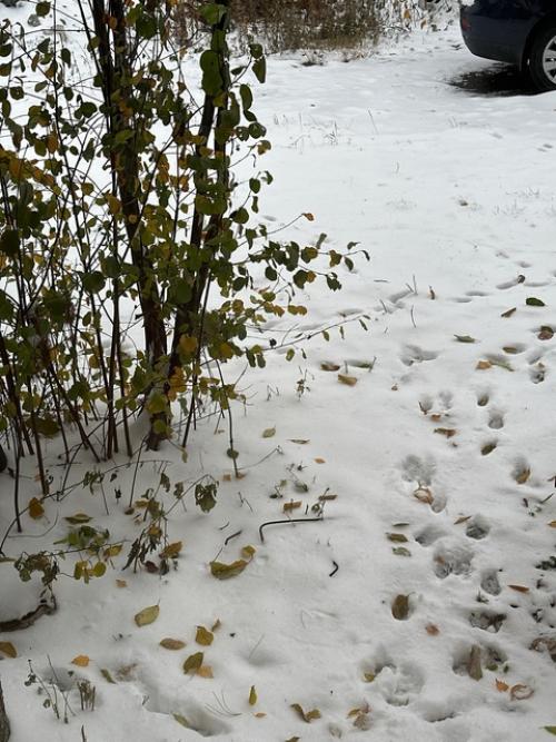 Немного о физической форме. 01 Немного о физической форме. 01