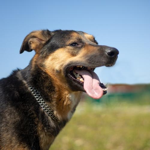 СПб!  Время лениться и толстеть - прошла! 05