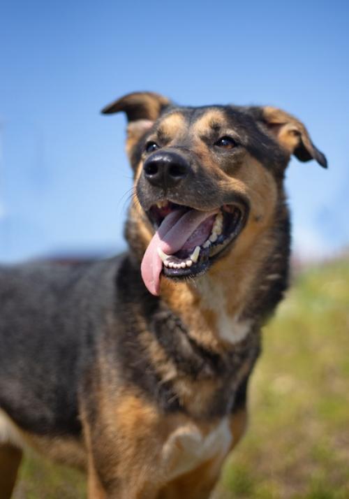 СПб!  Время лениться и толстеть - прошла! 01