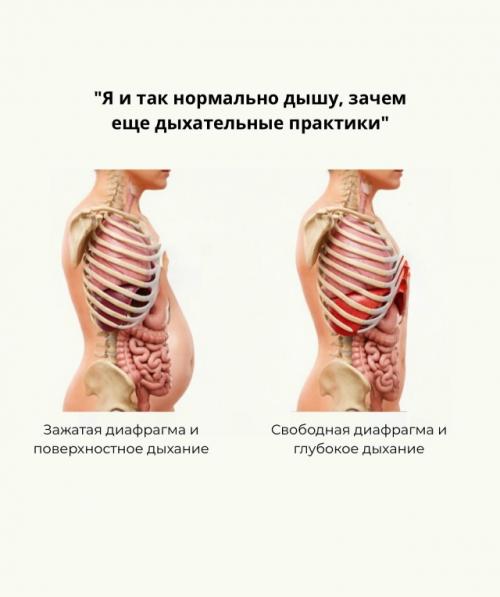 Тренировки - это гораздо больше, чем красивая фигура. 03 Тренировки - это гораздо больше, чем красивая фигура. 03
