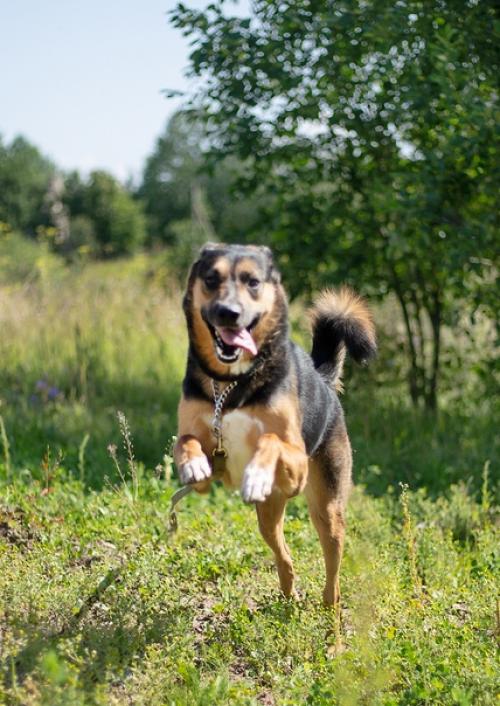 СПб!  Время лениться и толстеть - прошла! 03
