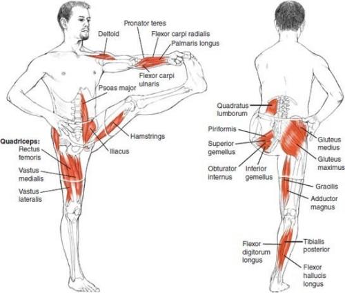 Растяжка для всего тела? 05