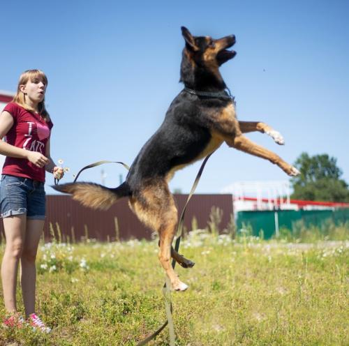 СПб!  Время лениться и толстеть - прошла! 02