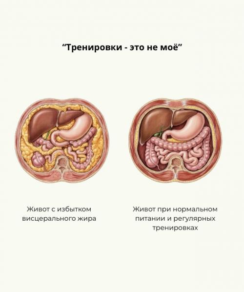 Тренировки - это гораздо больше, чем красивая фигура. 04 Тренировки - это гораздо больше, чем красивая фигура. 04