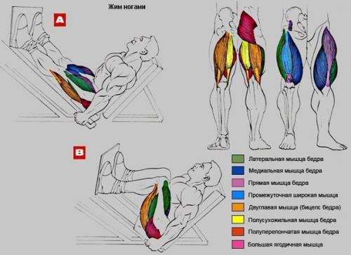 Упражнения на бедро - ягодицы. 03 Упражнения на бедро - ягодицы. 03