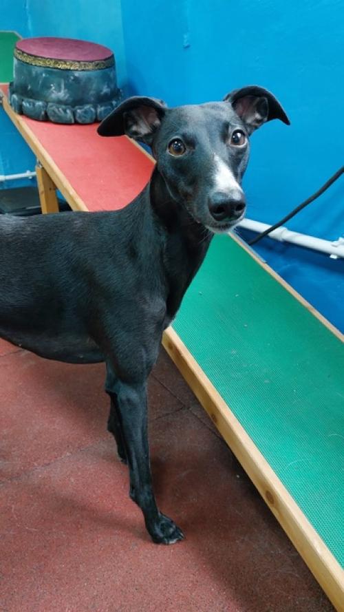 И ещё немножко зального. 03 И ещё немножко зального. 03