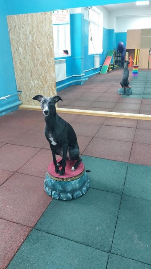 И ещё немножко зального. 01 И ещё немножко зального. 01