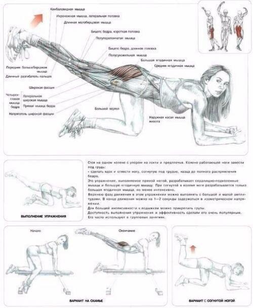 22 лучших упражнения для идеальных ягодиц? 01