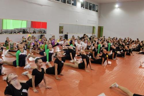 В обновленном гимнастическом зале центра детского творчества 11 ноября прошел городской фестиваль по фитнес - аэробике Трофи - Фитнес. 05