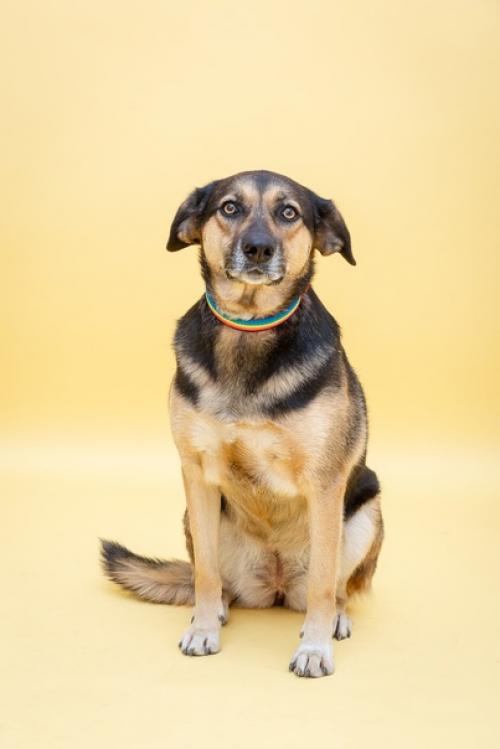 Фина такой разной бывает! 04