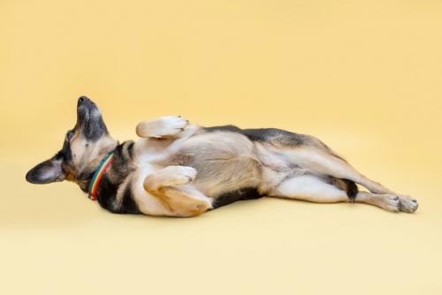 Фина такой разной бывает! 02