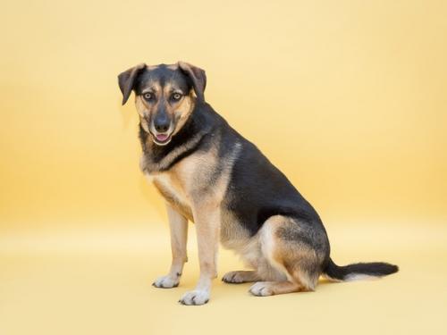 Фина такой разной бывает! 01