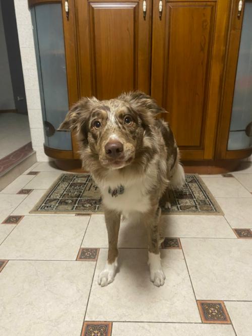 Джуффин активные тренировки продолжает. 01