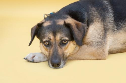 Фина такой разной бывает! 03