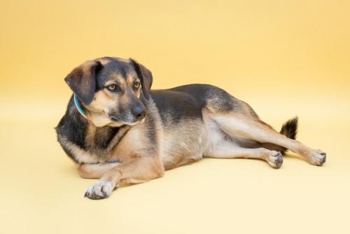 Фина такой разной бывает! 05