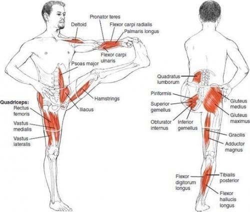 Время растяжки?  По 1-2 минуте в каждой позе после каждой тренировки растягивайтесь! 05