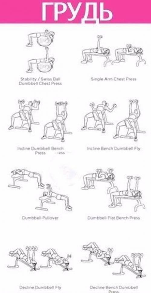 Прокачка всего тела для девушек? 01